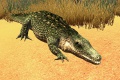 AlligatorOase.jpg